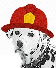 Fire Dog Personal Finance